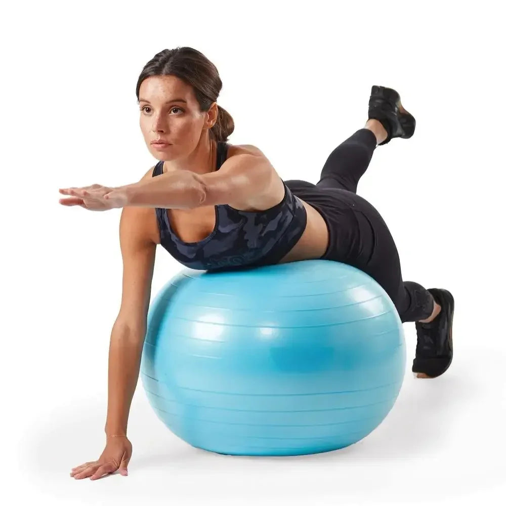 Weighted Stability Yoga, exercise, and balance ball: Pump Included