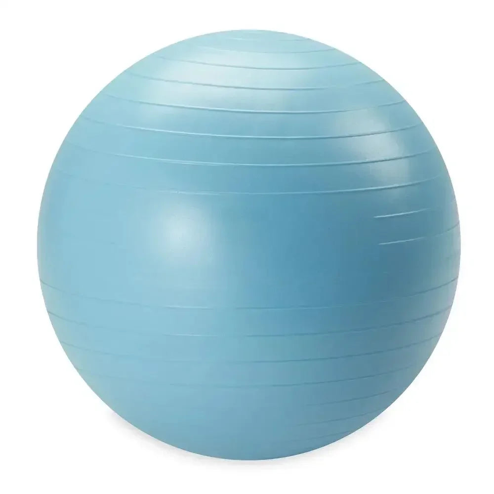 Weighted Stability Yoga, exercise, and balance ball: Pump Included