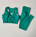 2PCS Women's Sports Bra Set, Professional Fitness Tank Top Bra, Shockproof, Running Leggings, and Yoga Suit