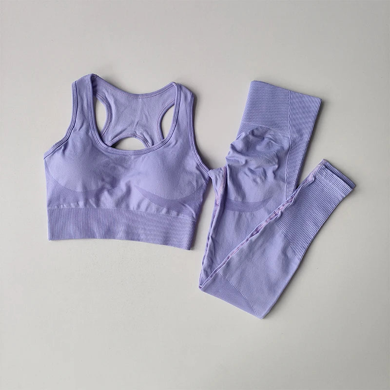 2PCS Women's Sports Bra Set, Professional Fitness Tank Top Bra, Shockproof, Running Leggings, and Yoga Suit