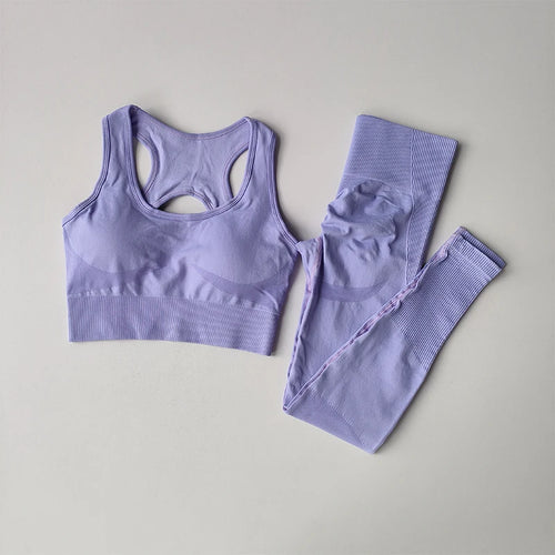 2PCS Women's Sports Bra Set, Professional Fitness Tank Top Bra, Shockproof, Running Leggings, and Yoga Suit