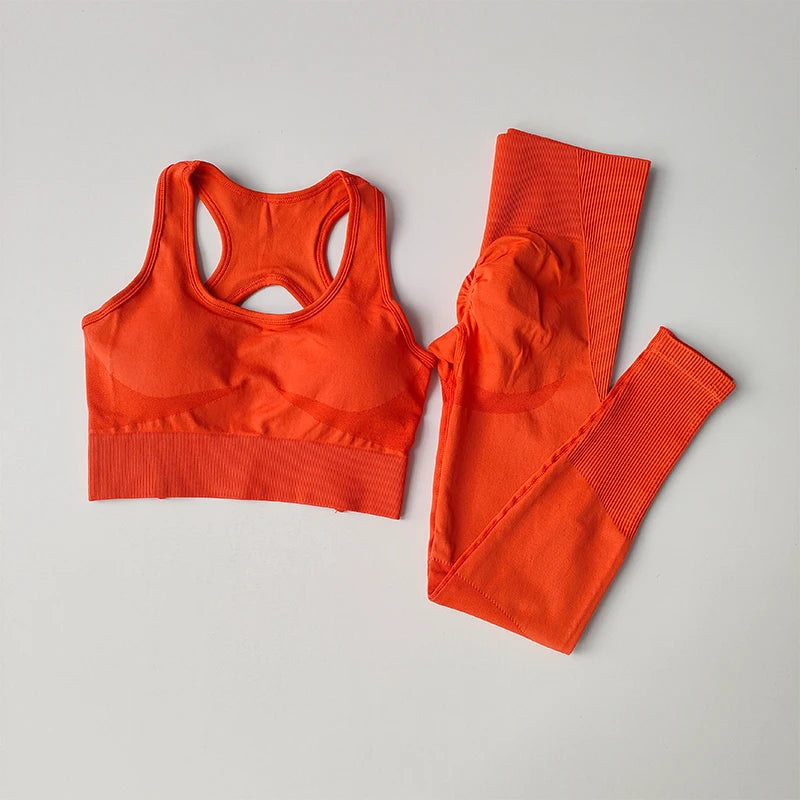 2PCS Women's Sports Bra Set, Professional Fitness Tank Top Bra, Shockproof, Running Leggings, and Yoga Suit